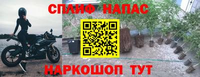 гашик Нягань