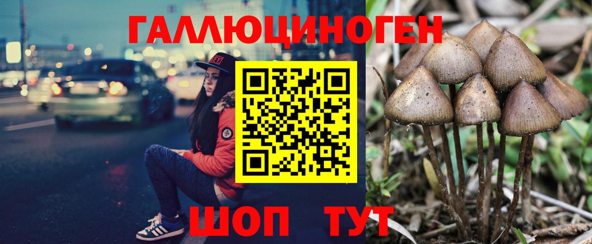 Галлюциногенные грибы мицелий  цены   Омск  Вход с VPN 